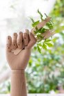 Креативна рука маннекіна з одноразовою виделкою і ножем, прикрашена гілочкою зеленої петрушки, поміщеної на столі в саду — стокове фото