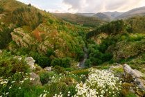 Montanhas verdes sob céu nublado — Fotografia de Stock