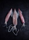 Dall'alto di carne cruda di calamari messi su tavolo nero su sfondo nero in studio — Foto stock