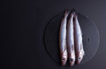 Vue du dessus du poisson cru à l'éperlan placé sur une table noire dans la cuisine — Photo de stock