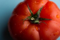 Hohe Nahaufnahme von reifen roten Tomaten auf Teller in der modernen Küche auf schwarzem Hintergrund platziert — Stockfoto