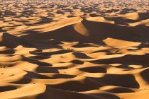 Drone view of spectacular scenery of desert with sand dunes and camel caravan on sunny day in Morocco — Stock Photo