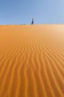 Voltar vista de turista irreconhecível desfrutar de passeio ao longo de terreno arenoso no deserto de Marrocos no dia ensolarado com céu azul — Fotografia de Stock