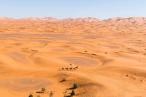 Drone vista spettacolare scenario del deserto con dune di sabbia e carovana di cammello nella giornata di sole in Marocco — Foto stock