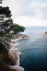 Vista aérea da costa rochosa com pinheiros crescendo sob a baía do mar com água azul calma contra o céu nublado e horizonte em névoa leve durante o dia — Fotografia de Stock