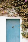 Hausfassade mit blauer Tür und weißer Wand dekoriert mit Kriechpflanze mit blühenden Blumen an sonnigen Sommertagen — Stockfoto