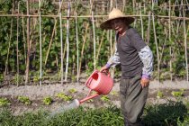 Ganzkörper asiatischer Mann mittleren Alters mit traditionellem orientalischem Strohhut, der in die Kamera schaut und Gießkanne benutzt, während er grüne Pflanzen in den Garten Taiwans gießt — Stockfoto