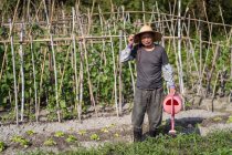 Повний середній вік азіатського чоловіка в традиційному східному солом'яному капелюсі, який дивиться на камеру і використовує водяний горщик, наливаючи зелені рослини, що ростуть в саду на Тайвані. — стокове фото