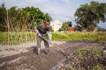 Focused uomo asiatico in abiti casual e stivali coltivare terreno bagnato utilizzando zappa prima di piantare in giardino a Taiwan — Foto stock