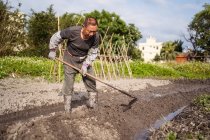 Focused Asian man in casual clothes and boots cultivating wet soil using hoe before planting in garden in Taiwan — Stock Photo
