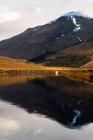 Pittoresco paesaggio di campagna con mucche al pascolo su erba verde vicino al fiume calmo contro la montagna nella soleggiata giornata primaverile nelle Highlands scozzesi — Foto stock