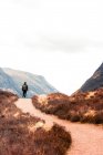 Повернення до нерозпізнаного мандрівника з рюкзаком, що стоїть на стежці, що веде через пагорби з сухою травою і з захопленням споглядаючи гори проти хмарного неба в Шотландському нагір 