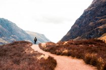 Vista posteriore di escursionista irriconoscibile con zaino in piedi sul sentiero che conduce attraverso colline con erba secca e ammirando la vista delle montagne contro il cielo nuvoloso nelle Highlands scozzesi — Foto stock