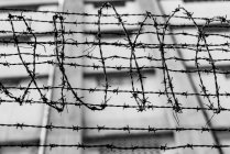 Black and white of spiky barbed wire above fence with building on background — Stock Photo