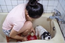 Von oben eine unkenntliche Besitzerin, die in der Badewanne sitzt und den süßen Cocker-Spaniel-Welpen zu Hause wäscht — Stockfoto