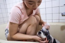 Crop side view ethnic Asian female owner sitting in bathtub and washing cute Cocker Spaniel puppy at home — Stock Photo