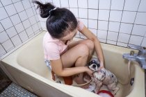 Над этнической азиатской владелицей сидит в ванной и моет милый щенок кокер-спаниель дома — стоковое фото