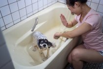 Giovane donna etnica che protegge il viso dagli schizzi d'acqua mentre il cane bagnato trema nella vasca da bagno durante la procedura di bagno a casa — Foto stock