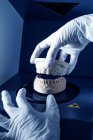 Gros plan de technicien anonyme de culture dans des gants médicaux travaillant avec moulage dentaire dans un laboratoire moderne — Photo de stock