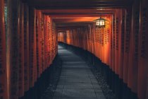 Fushimi Inari Taisha con sentiero in pietra circondato da porte rosse Torii e illuminato da lanterna tradizionale — Foto stock