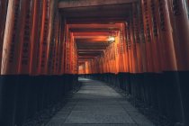 Fushimi Inari Taisha with stone pathway surrounded by red Torii gates and illuminated by traditional lantern — Stock Photo