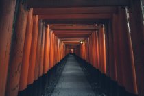 Fushimi Inari Taisha with stone pathway surrounded by red Torii gates and illuminated by traditional lantern — Stock Photo