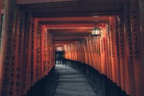 Fushimi Inari Taisha con camino de piedra rodeado de puertas rojas Torii e iluminado por la linterna tradicional con personas distantes irreconocibles - foto de stock