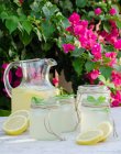 Glass jar with fresh cold lemonade placed on marble table with slices of lemon in summer garden with blooming plants in background — Stock Photo