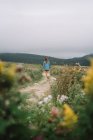 Невпізнавана жінка в літньому одязі, що йде піщаною стежкою між луками з квітами в похмурий день — стокове фото