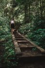 Woman with backpack walking up stairs on path and enjoying weather in green forest of La Mauricie National Park in Quebec, Canada — Stock Photo