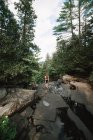 Visão traseira da exploradora anônima em pé sobre rochas perto da rua rápida na floresta verde do Parque Nacional La Mauricie em Quebec, Canadá — Fotografia de Stock