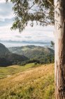 Вид на зелену долину з пишними деревами і високими пагорбами, розташованими на тлі похмурого блакитного неба в сонячний літній день — стокове фото