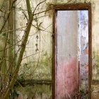 Vieilli mur de pierre minable de bâtiment désolé avec porte ouverte et arbre croissant à proximité — Photo de stock