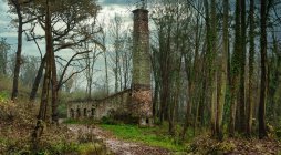 Amplia vista angular del edificio industrial de ladrillo desierto en ruinas con chimenea situado entre el bosque sin hojas en España - foto de stock