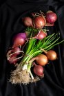 Frische rote und weiße Zwiebeln auf dunklem Hintergrund. Veganes Lebensmittel.Lebensmittelzutat — Stockfoto