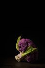 Tasty purple broccoli placed on wooden table on black background in dark studio — Stock Photo