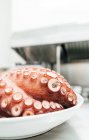 Appetizing freshly prepared giant Pacific octopus served in white bowl and placed on table in kitchen — Stock Photo