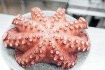 Сверху аппетитный свежеприготовленный гигантский тихоокеанский осьминог, подаваемый в белой миске и поставленный на стол на кухне — стоковое фото