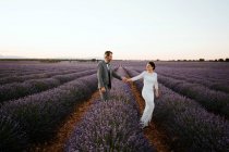 Вид збоку нареченого і нареченого, тримаючись за руки і йдучи квітучим лавандовим полем, дивлячись один на одного — стокове фото
