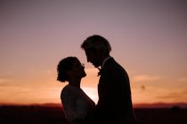 Силуети романтичної новоспеченої пари стоять обличчям до обличчя на просторому полі проти фіолетового заходу сонця — стокове фото