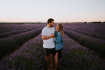 Conteúdo casal apaixonado de pé no campo de lavanda florescente ao pôr do sol enquanto abraçam e olham um para o outro — Fotografia de Stock