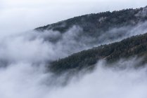 Величні краєвиди лісів у гірській місцевості вкриті густим туманом у національному парку Сьєрра - де - Гуадаррама. — стокове фото