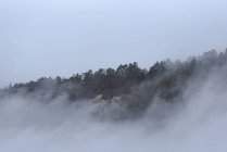 Paesaggio maestoso di boschi in terreni montuosi coperti da fitta nebbia nel Parco Nazionale della Sierra de Guadarrama — Foto stock