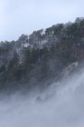 Majestic scenery of woods in mountainous terrain covered with dense mist in Sierra de Guadarrama National Park — Stock Photo