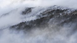 Majestic scenery of woods in mountainous terrain covered with dense mist in Sierra de Guadarrama National Park — Stock Photo