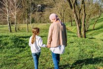 Вид ззаду на щасливу матір з раком в рожевому шарфі голови, тримаючись за руки з маленькою донькою, ходячи на зеленому парку, дивлячись один на одного — стокове фото
