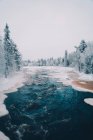 Vista panorâmica do rio congelado cercado por altas árvores de coníferas que crescem na floresta nevada no inverno — Fotografia de Stock