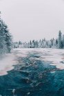 Scenic view of frozen river surrounded by tall coniferous trees growing in snowy forest in winter — Stock Photo