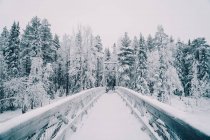 Amazing view of suspension bridge over river in snowy winter forest on overcast day — Stock Photo
