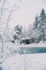 Ruhige Landschaft von Holzhaus in der Nähe von Teich in verschneiten Wäldern im Winter — Stockfoto